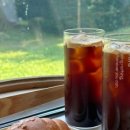 파사성 소나무 이미지