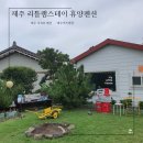 리틀램스테이 휴양펜션 | 제주도 키즈펜션 ㅣ 제주감성숙소 ㅣ 리틀램스테이 휴양펜션 솔직후기 -)
