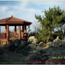 엄광산 동구경계 이미지