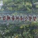 대화로156번길 | 일산 현지인 맛집 인정! 친구 따라갔다가 인생 해장국 만난 후기