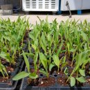 아도농장 이미지