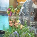 푸레기마을 | DIY 키트 추천 업사이클링 그린에듀키트 허브 스머지스틱, 룸스프레이