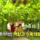 우리두리농장 이미지