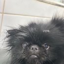 두둥