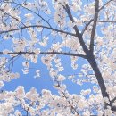 행복이있는곳에 | 프로젝트 헤일메리 : 내가 있어야하는 그 곳에 행복이 : 책읽고 영화 감상 후기