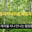 낙동강변로-8 네이버블로그