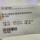 대명종합카 | 비발디파크 소노벨 체크인 꿀팁, 스위트 파크뷰 객실 컨디션, 얼리버드 할인 정보