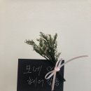 모네헤어살롱