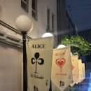 공감더하기47 | 🍸청담 바 앨리스(Alice)에서 즐긴 특별한 밤, 게스트 바텐딩 데이 후기+영향력 있는 바텐더 100위