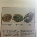 우사미 | 인천 청라 한우 맛집 우사미 솔직후기. 줄 선 이유 알겠네