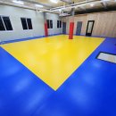 용인대체육관 이미지