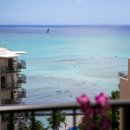 와이키키휘트니스 이미지