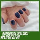 네일리케 이미지
