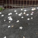 제이비택시(주) | 영원을 꿈꾸는 사람