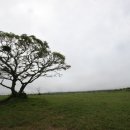 수림목장 이미지