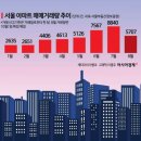 브리프 이미지
