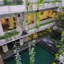 몽키당구클럽 | 여행 8일차(1)-우붓빌리지, 우붓 몽키포레스트, 트로피칼뷰@2023.5