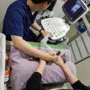 캣파라다이스 이미지