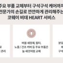 프라임렌탈 이미지