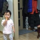 호식이두마리치킨구좌세화점