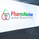 청소년 그룹 미술치료A 이미지