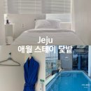 아마존게임전자 | 단돈 5만 원, 제주 애월 오션뷰 숙소 추천‘애월스테이 닻밭’ 내돈내산 후기