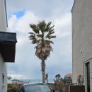 그여름애월바다 이미지