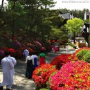 여주-1033 이미지