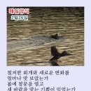 매일양식2