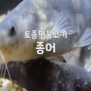 한국인의 밥상에 등장한 이제는 사라진 토종 민물고기, 김제 종어 양식장 이야기