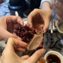 죽변항포차