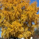 신당마을회관 이미지