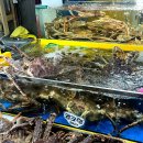 대우수산식당 이미지