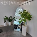 수원 매탄동 미용실 살롱드블레스 수원영통점 업체 정보 후기