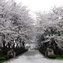 한우목장 이미지