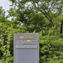 제주 상효동 한란자생지 | 제주도+천연기념물