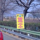 [2024 광양 매화축제] 사람과 꽃의 비율 1 : 1 미어터지는 축제 후기