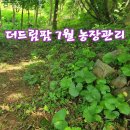 더드림팜 이미지