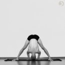 아쉬탕가 요가 이미지