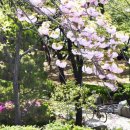 비둘기근린공원 이미지