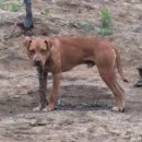 대근농장 이미지