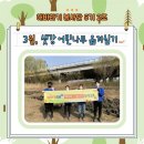 [BHC/봉사단] bhc 해바라기 봉사단 5기 <3월, 샛강 어린나무 옮겨심기>