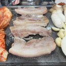 퇴계로2 | 고냉지 회현점ㅣ내돈내산 재방문한 실내 애견동반 가능한 회현역 김치찌개, 삼겹살 가성비 맛집 솔직후기