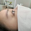 블리밍 이미지
