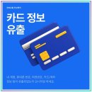 핀브릿지 이미지
