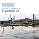 천일염힐링캠프 이미지