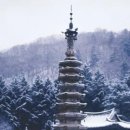 씨유춘천퇴계하모니점 | 연휴를 연휴답게 귀성·귀경길 9가지 풍경