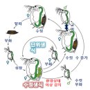 (주)동진환경 이미지