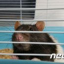 올바른교육 이미지