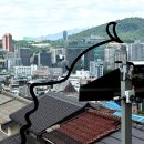 그냥 심심해서요. (49885) 미묘한 조화 이미지
